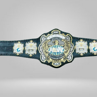NEW WORLD HEAVYWEIGHT CHAMPIONSHIP BELT ADULT SIZED - image 1 | DASH RACEGEAR