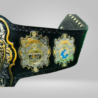 NEW WORLD HEAVYWEIGHT CHAMPIONSHIP BELT ADULT SIZED - image 3 | DASH RACEGEAR