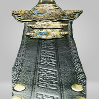 NEW WORLD HEAVYWEIGHT CHAMPIONSHIP BELT ADULT SIZED - image 4 | DASH RACEGEAR