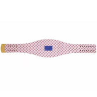 New York Giants WWE Legacy Title Belt - 6 | Dash Racegear