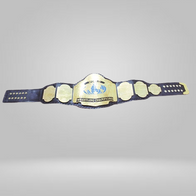 NWA Blue World Team Championship Replica Belt - image 2 | DASH RACEGEAR