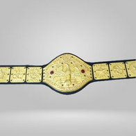 NWA Canadian Classy Freddie Blassie Legacy Tribute Champion Belt Pacific Coast - image 2 | DASH RACEGEAR