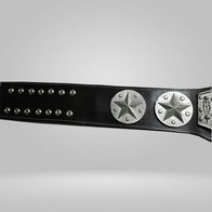 NWA Eastern Heavyweight Wrestling Champion Belt Jim Crockett Mid-Atlantic - image 2 | DASH RACEGEAR