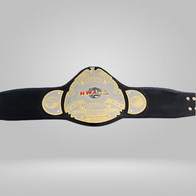 NWA Heritage title Wrestling Champion Belt Heavyweight Sean Waltman X-Pac TJP - image 2 | DASH RACEGEAR