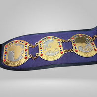 NWA International Tag Team Championship Belt Japan Wrestling Association Inoki - image 2 | DASH RACEGEAR