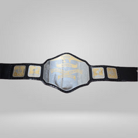 NWA National Heavyweight Championship Title Belt - image 1 | DASH RACEGEAR