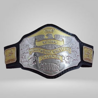 NWA National Heavyweight Wrestling Championship Zinc Plates Belt - image 1 | DASH RACEGEAR