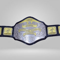 NWA National Heavyweight Wrestling Championship Zinc Plates Belt - image 2 | DASH RACEGEAR