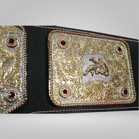 NWA RIC FLAIR World Heavyweight Wrestling Championship Belt WCW Champion belt - image 2 | DASH RACEGEAR