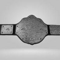 NWA RIC FLAIR World Heavyweight Wrestling Championship Belt WCW Champion belt - image 3 | DASH RACEGEAR
