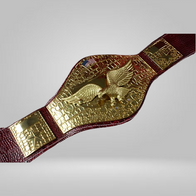 NWA “Sheik” United States Wrestling championship Title belt - image 1 | DASH RACEGEAR