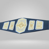 NWA Television Mid Atlantic Wrestling Championship Belt - image 2 | DASH RACEGEAR