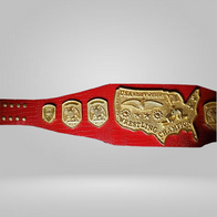 NWA United States Heavyweight Champion The Iron Shiek Backlund USA - image 1 | DASH RACEGEAR