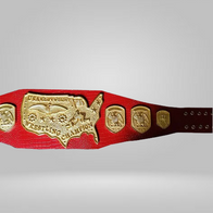 NWA United States Heavyweight Champion The Iron Shiek Backlund USA - image 2 | DASH RACEGEAR