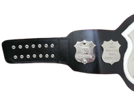 NWA World Tag Team Championship Inspired Title Belt - 2 | Dash Racegear