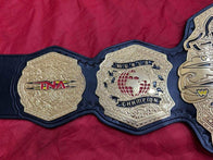 New TNA WORLD Wrestling Championship Title Belt - 2 | Dash Racegear