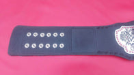 Women Divas Wrestling Championship Inspired Title Belt - 5 | Dash Racegear