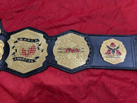 New TNA WORLD Wrestling Championship Title Belt - 9 | Dash Racegear
