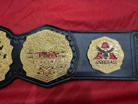 New TNA WORLD Wrestling Championship Title Belt - 4 | Dash Racegear