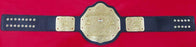 World Heavyweight Big Gold Championship Inspired Belt - 2 | Dash Racegear