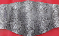 Smoking Skull Snake Skin Wrestling Championship Title Belt - 7 | Dash Racegear
