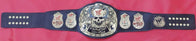 Smoking Skull Snake Skin Wrestling Championship Title Belt - 5 | Dash Racegear