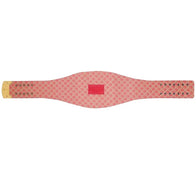 San Francisco 49ers WWE Legacy Title Belt - 7 | Dash Racegear