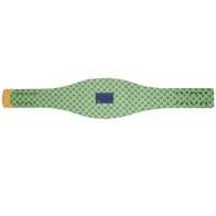Seattle Seahawks WWE Legacy Title Belt - 6 | Dash Racegear