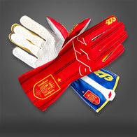 ESP - Glove | DASH RACEGEAR
