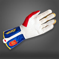 ESP - Glove | DASH RACEGEAR
