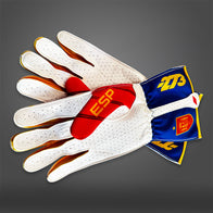 ESP - Glove | DASH RACEGEAR