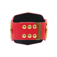 St. Louis Cardinals WWE Mini Title Belt - 4 | Dash Racegear