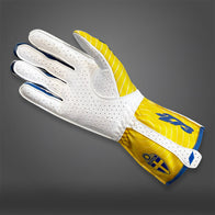 SWE - Glove | DASH RACEGEAR