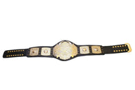 TNA World Heavyweight Wrestling Championship Belt - 4 | Dash Racegear