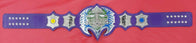 TNA Jeff Hardy Wrestling Championship Inspired Title Belt - 9 | Dash Racegear
