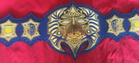 TNA Jeff Hardy Wrestling Championship Inspired Title Belt - 2 | Dash Racegear