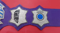 TNA Jeff Hardy Wrestling Championship Inspired Title Belt - 7 | Dash Racegear