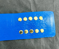 Jeff Hardy TNA Heavyweight Wrestling Championship Title Belt - 7 | Dash Racegear