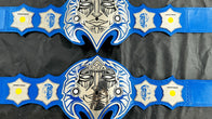 Jeff Hardy TNA Heavyweight Wrestling Championship Title Belt - 8 | Dash Racegear