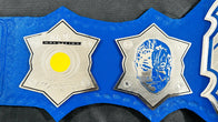 Jeff Hardy TNA Heavyweight Wrestling Championship Title Belt - 9 | Dash Racegear