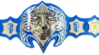 Jeff Hardy TNA Heavyweight Wrestling Championship Title Belt - 1 | Dash Racegear