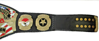 TNA United States Wrestling Championship Title Belt - 3 | Dash Racegear