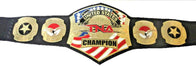 TNA United States Wrestling Championship Title Belt - 4 | Dash Racegear