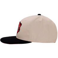 Men's Tan/Black Roman Reigns YTC Snapback Hat - DASH RACEGEAR image 2