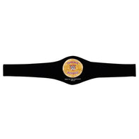 WWE World Tag Team Championship Replica Title Belt