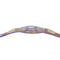 Buffalo Sabres WWE Legacy Title Belt