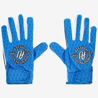 AJ Styles Replica Gloves - DASH RACEGEAR image 1
