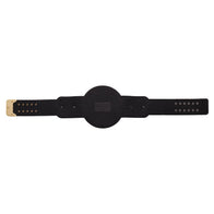 WWE World Tag Team Championship Replica Title Belt