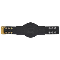 WWE World Heavyweight Champion Mini Title Belt