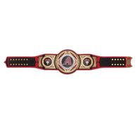 WWE Arizona Diamondbacks MLB Legacy Championship Title Belt - 4 | Dash Racegear